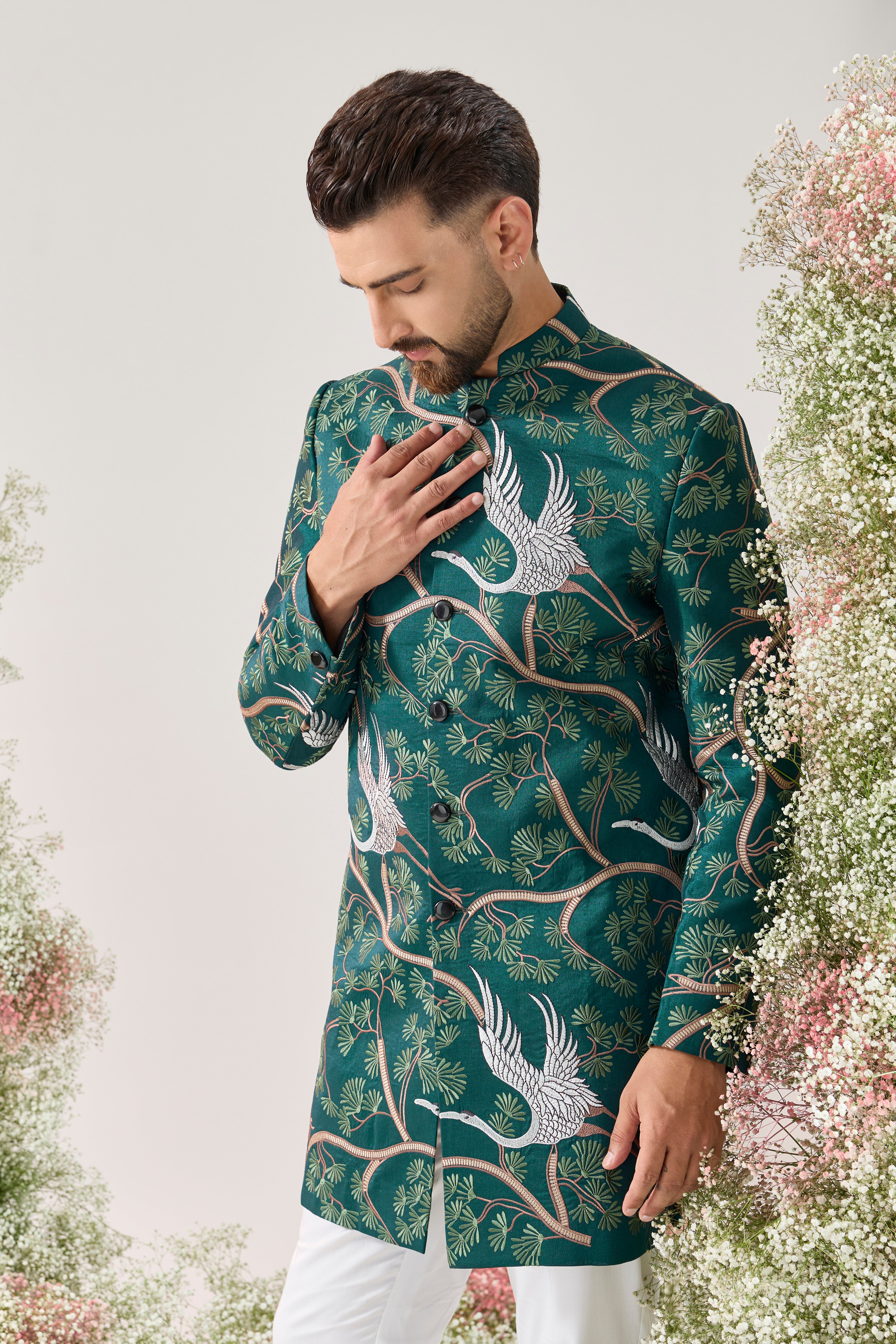 Teal short Indowestern : the tales of the mighty flamingo