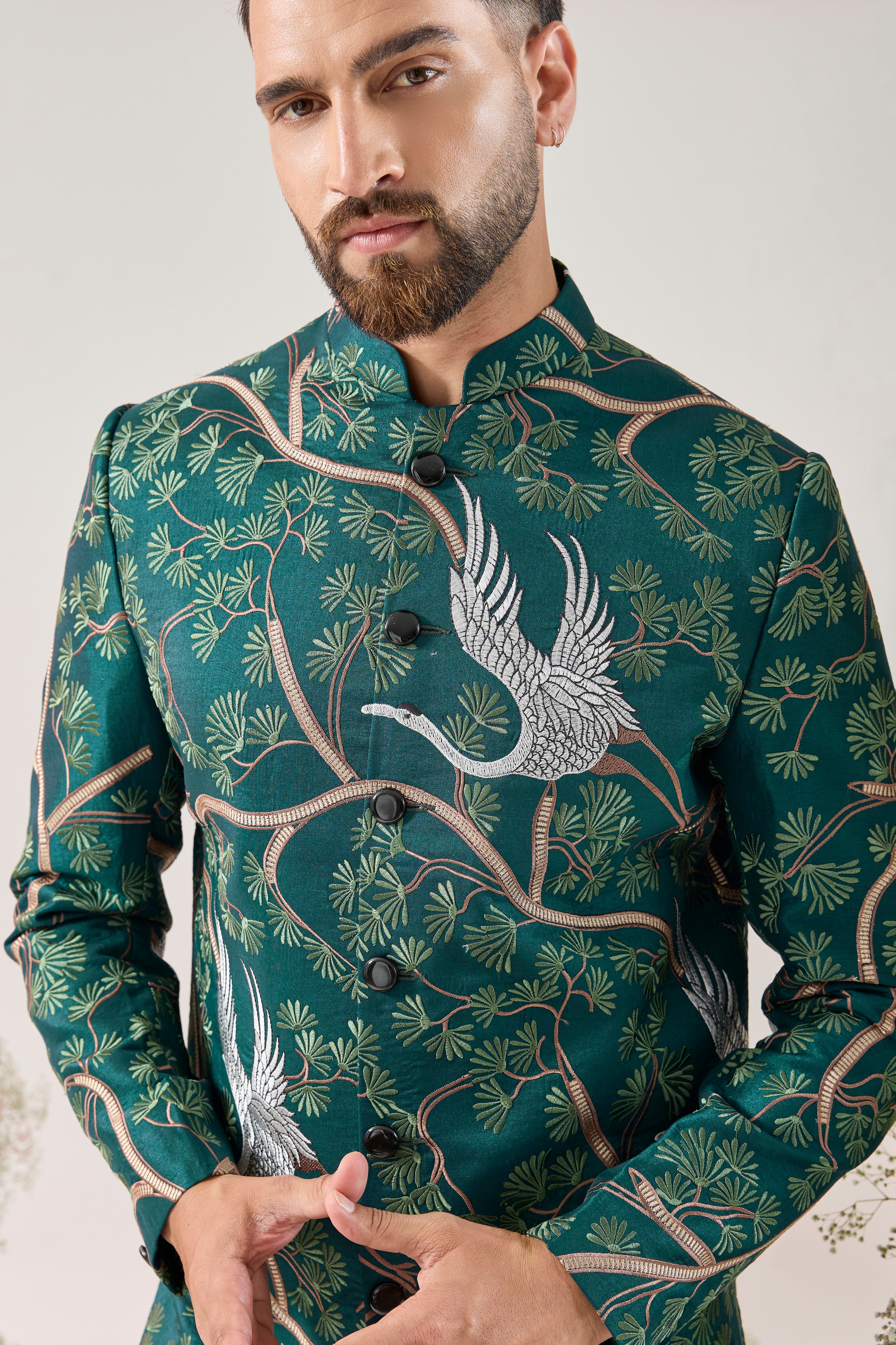 Teal short Indowestern : the tales of the mighty flamingo