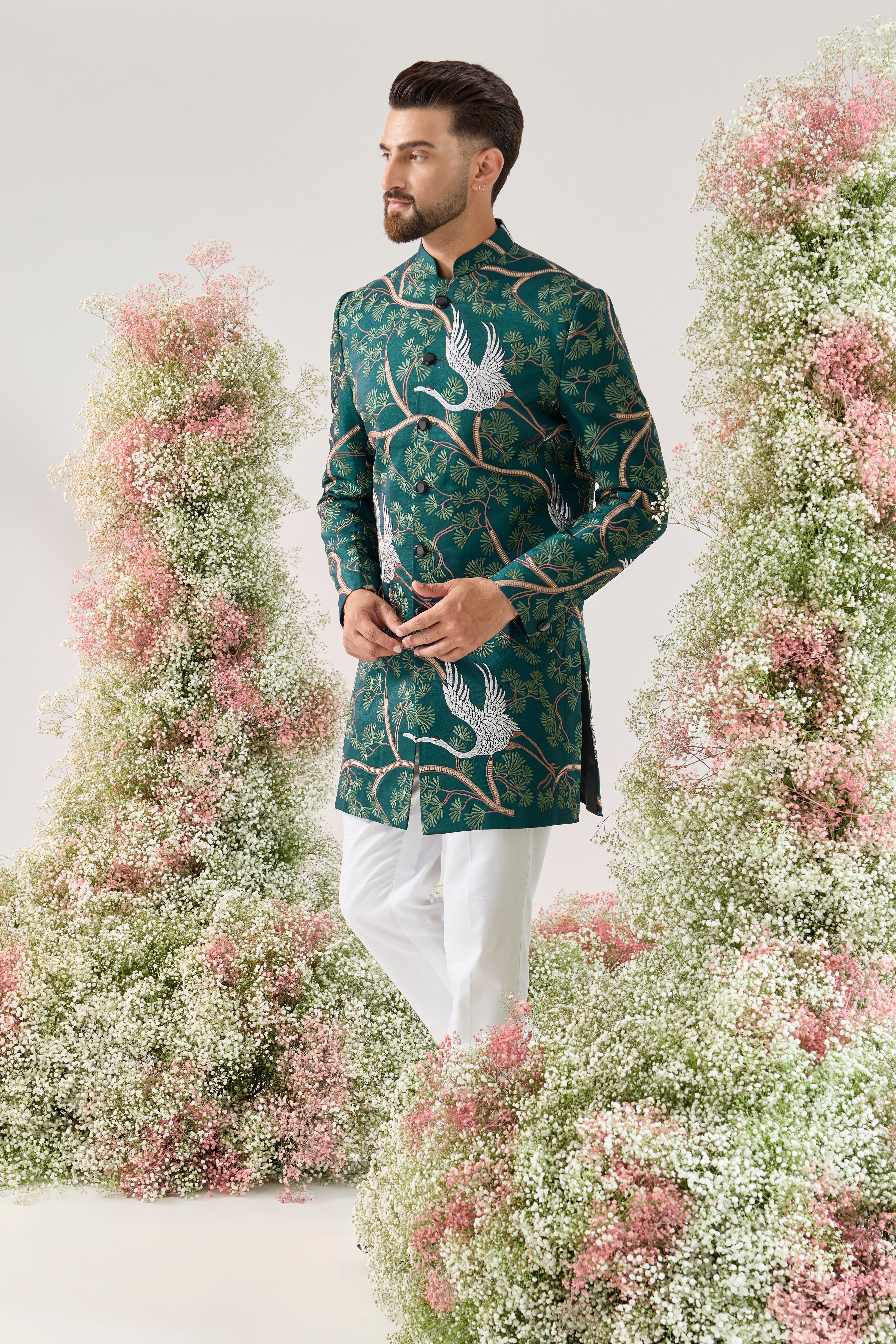 Teal short Indowestern : the tales of the mighty flamingo