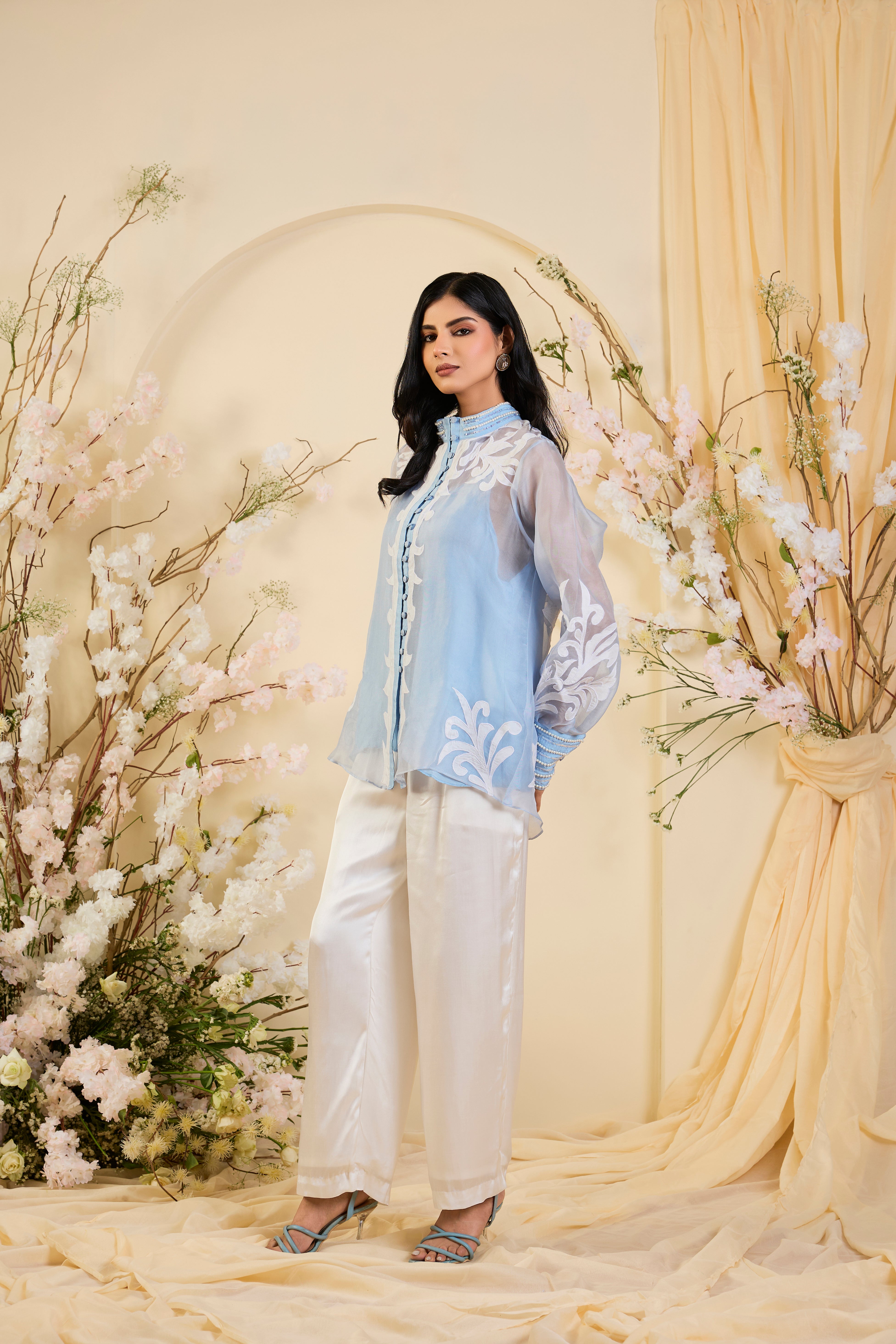 Noor Sheer Organza Ensemble in Powder Blue
