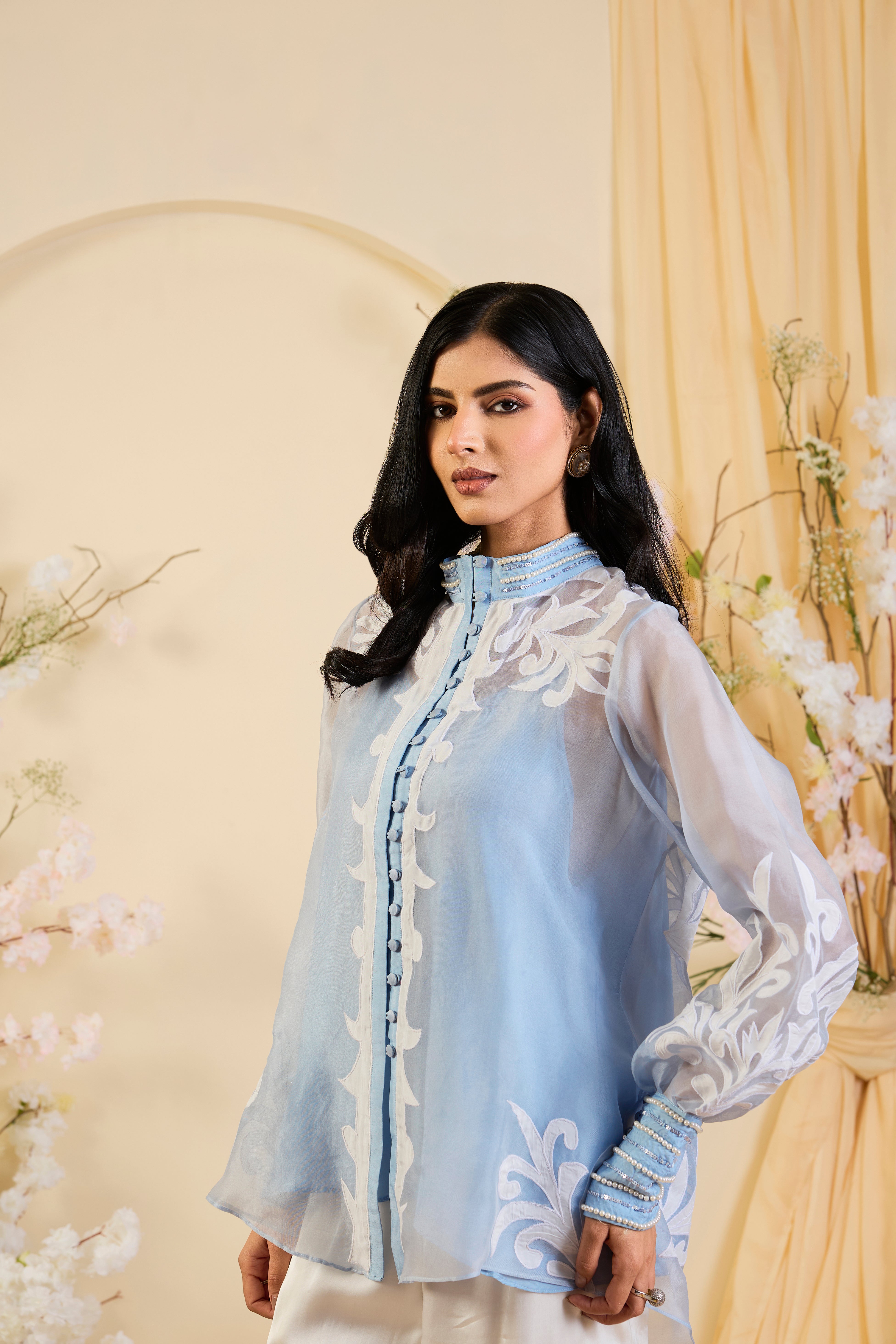 Noor Sheer Organza Ensemble in Powder Blue