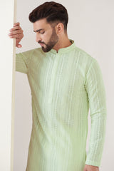 Green chikankari kurta with thread work